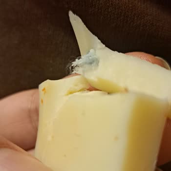 Kaşarda Tüylü Yabancı Madde Ve Müşteri Hizmetlerinden Cevap Yokluğu