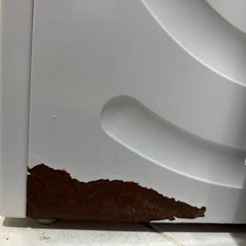 Bosch Çamaşır Makinesinde Paslanma Sorunu Ve Ücretsiz Parça Değişimi İsteği