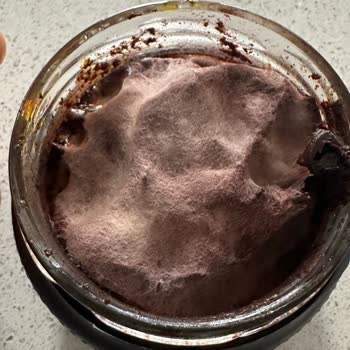 MarmaraBirlik Siyah Zeytin Ezmesi Küf Sorunu: Sağlık Endişesi Ve İade Talebi