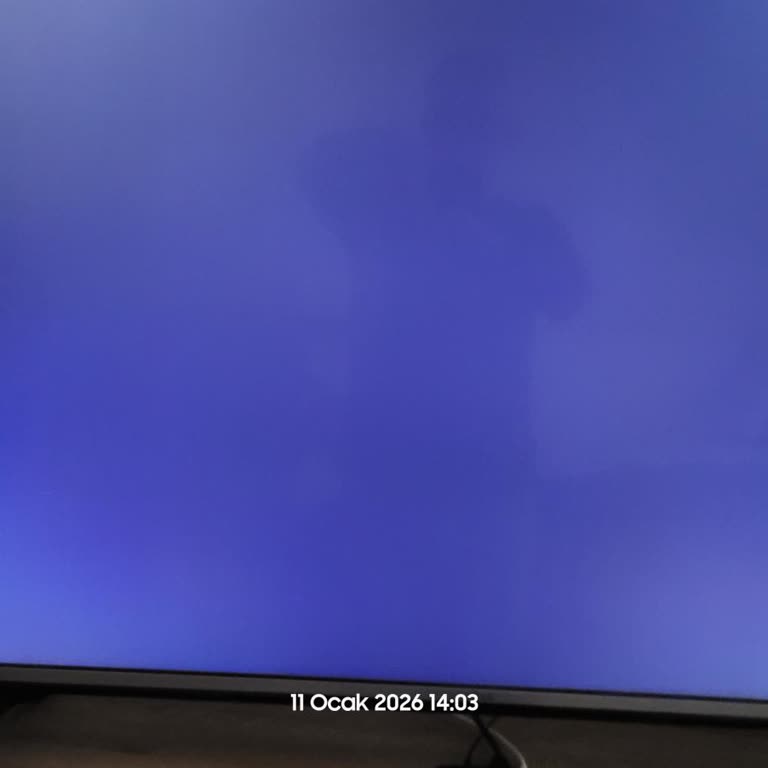 LG TV’de TOD Uygulaması Sürekli Siyah Ekran Veriyor