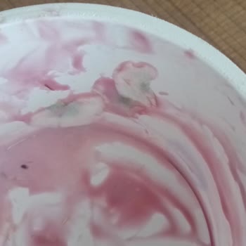 Sek Süt Meyveli Yoğurtta Küf Çıkması Ve Sağlık Riski