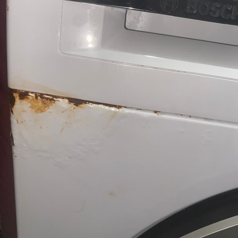 Bosch Serie 4 Çamaşır Makinesinde Hızlı Paslanma Ve Ücretsiz Servis Talebi