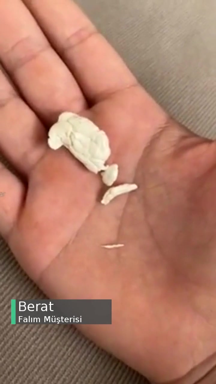 Falım Benim Hayatımı Nasıl Riske Attı? videonun kapak resmi