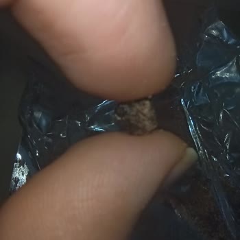 Ankara BİM Şubesinde Torku Gofretten Yabancı Cisim Çıktı Diş Tehlikesi