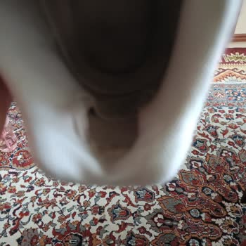 Garanti Kapsamındaki Ayakkabının Sadece Fotoğrafla Red Edilmesi