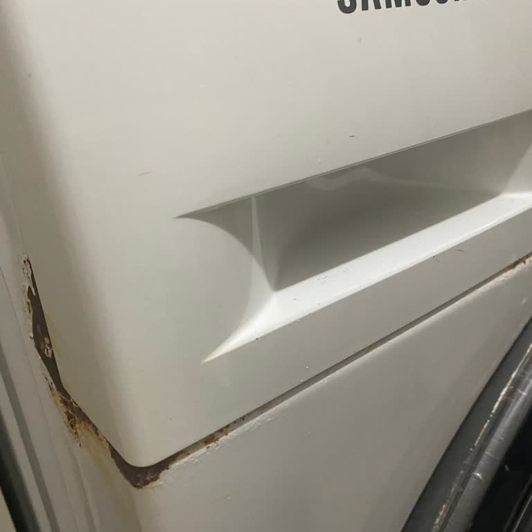 Samsung Eco Bubble Çamaşır Makinesinde Erken Paslanma Ve Ürün Değişimi Talebi