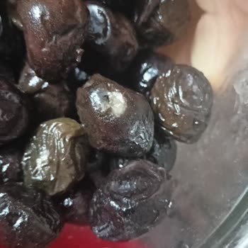 Kartepe Şubesinden Aldığım Zeytin Hızlı Küflendi Ve Sağlık Endişesi
