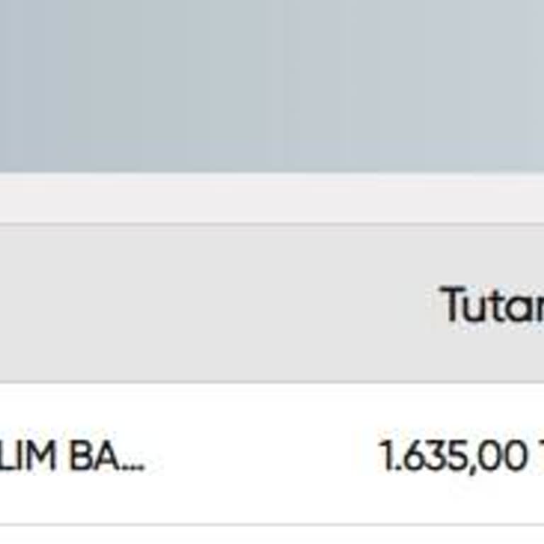70115 Numaralı Nakit Talebimin Ödemesi Yapılmadı Ve Destek Yanıtı Gelmedi