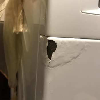 Bosch Çamaşır Makinesinde Deterjan Gözünün Kabarması Ve Paslanma Üzerine Ücretsiz Onarım Talebi