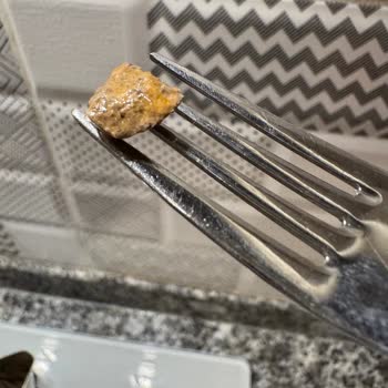 Tat Gıda Barbunya Pilaki İçinden Taş Çıktığını Fark Ettik