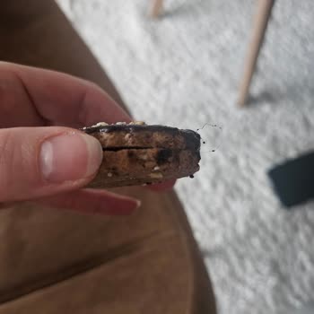 Liva Pastanesi | Livashop.com Hem Çikolataların Hem De Kuru Pastaların Bayat Olduğunu Fark Ettik