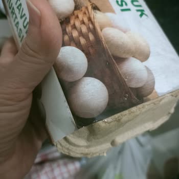 Bozuk Tavuk Ve Kırık Yumurta İçin Çözüm Bekleyen Müşteri Şikayeti