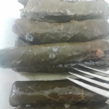 Kaya Çifliği Şubesinde Küflenmiş Sarma Üzerine Şikayet