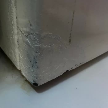 Bosch Vario Perfect Çamaşır Makinesinde Tekrarlayan Elektrik Arızası Ve Korozyon Sorunları