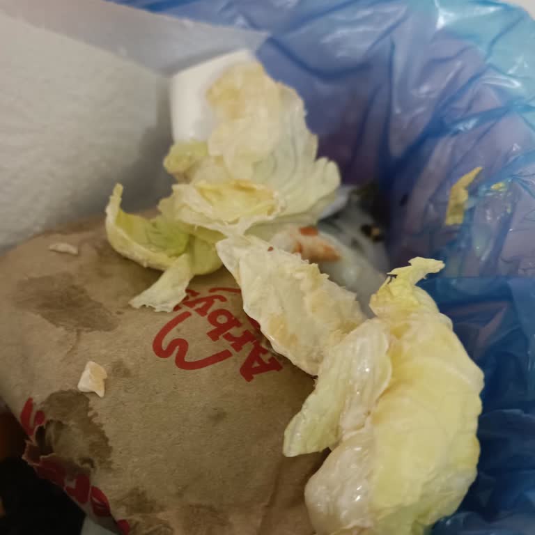 Trendyol GO'da Burger King Yanlış Hamburger Ve Hijyen Sorunu İade Talebi