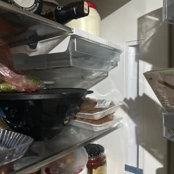 Bosch Kgn76 Buzdolabında İç Raf Ve Aydınlatma Arızası, Servis Yanıtsızlığı