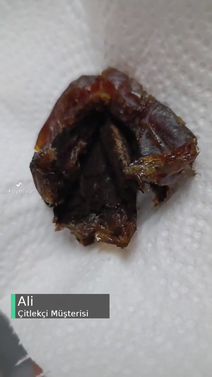 Çitlekçi Hurmadan Çıkan Küf Mantarı! videonun kapak resmi