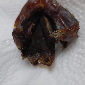 Çitlekçi Hurmadan Çıkan Küf Mantarı!