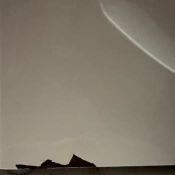 Siemens Çamaşır Makinesinde Paslanma Ve Ücretsiz Panel Değişimi Talebi