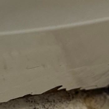 Siemens Çamaşır Makinesinde Paslanma Ve Ücretsiz Panel Değişimi Talebi