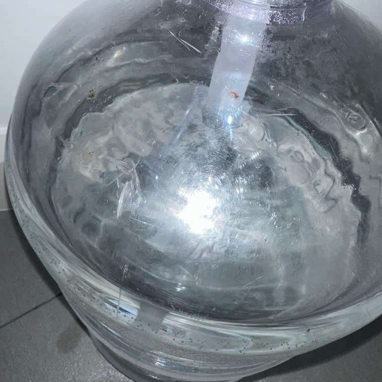 Damacanada Canlı Görülmesi Ve Şirketle Ulaşamaması