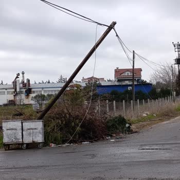 Türk Telekom Direk Devrildi: İnternetsiz Evde 3 Gün Süren Altyapı Sorunu