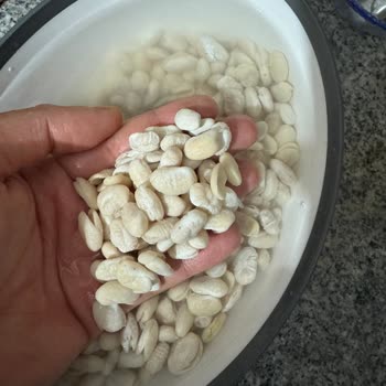 Duru Bulgur Kuru Fasulyede Ayıplı Ürün Ve İade Talebi