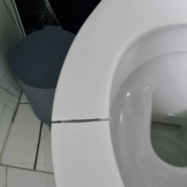 Seramiksan Volcano Klozet Kapak Sorunu Tekrarlandı Yedek Parça Bulunamıyor