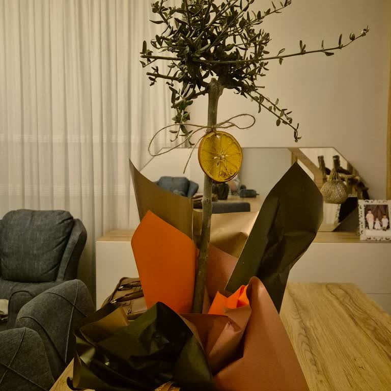 Büyük Zeytin Ağacı Ürününde Yanıltıcı Tanıtım Ve Küçük Bitki Teslimatı