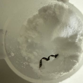 Kreatin Tozunda Plastik Parça Tespiti Ve Ürün Değişimi Talebi