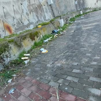 Altınkum Caddesi Ve Okul Çevresinde Temizlik İhmali Rutin Hizmet İstiyoruz