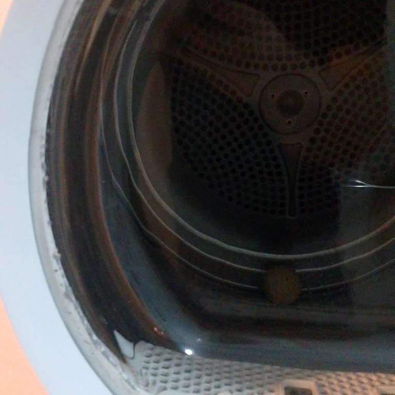 Hoover Dry 300 Lite Kapağındaki Toz Ve Yün Birikimi Sorunu Ve Garantili Çözüm Talebi