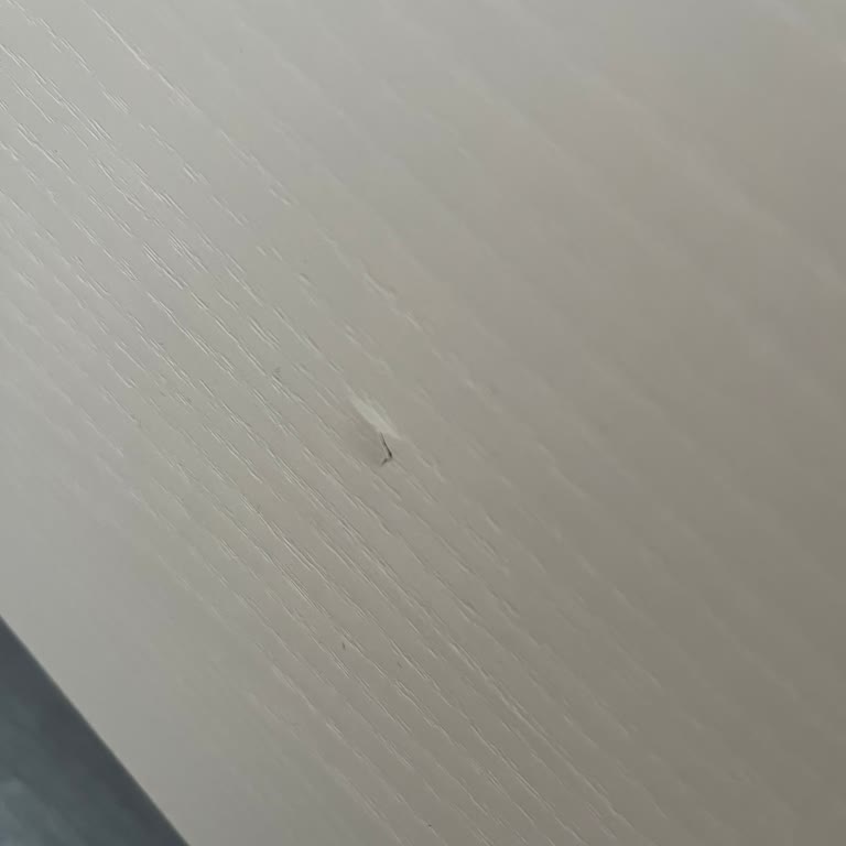 Margo Yatak Odası Bazasındaki Çizik Kusurları Ve Çözüm Talebi