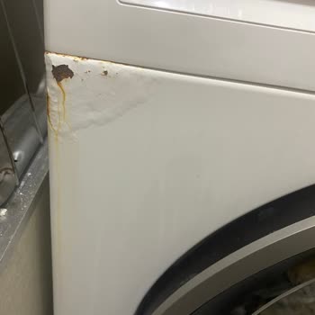 Bosch Çamaşır Makinesinde Kısa Sürede Paslanma Ve Ücretsiz Onarım Talebi