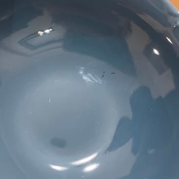 Aryıldız Kusurlu Çorba Kaseleri Değişimi İçin Acil Çözüm Talebi