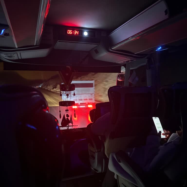 Hayvan Kokusunun Yol Açtığı Mide Bulantısı Ve Konfor Sorunu