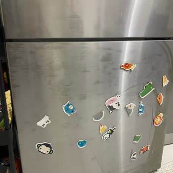 Bosch Buzdolabının Renk Atması İçin Ücretsiz Parça Değişimi Talebi