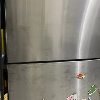 Bosch Buzdolabının Renk Atması İçin Ücretsiz Parça Değişimi Talebi