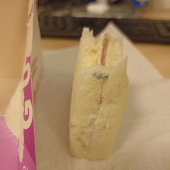 Küflü Sandviçle Sağlık Riski, İade Talebi Ve Denetim İsteği