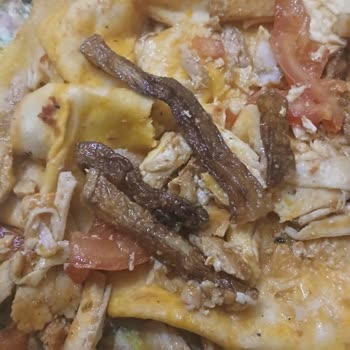 Trendyol GO’da Hijyen Ve Sağlık Sorunu: Yanmış Gıdaya İade Talebimiz Reddedildi