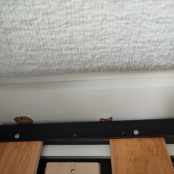 Karyolada Sürekli Parça Düşmesi Ve Şişen Tahtalar İade Ve Değişim Talebi