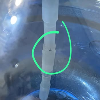 Çilek Su Damacanasında Görülen Sinek Nedeniyle Sağlık Endişesi Ve İade Talebi