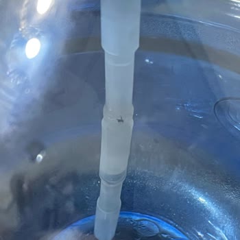 Çilek Su Damacanasında Görülen Sinek Nedeniyle Sağlık Endişesi Ve İade Talebi