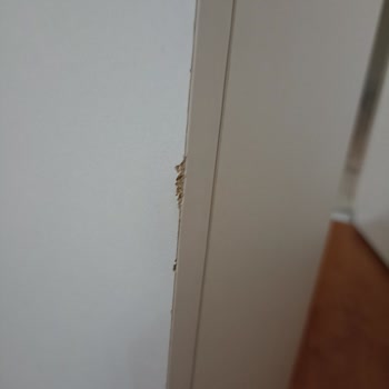 Monte Sehpa Siparişinde Eksik Ve Hasarlı Parçalar, Çözüm Yok