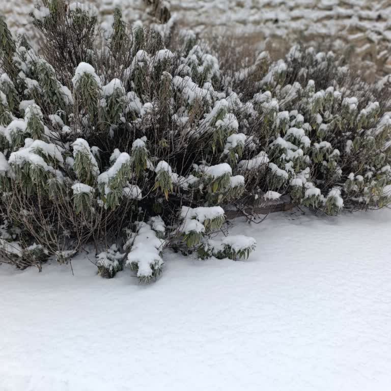 Digiturk'ta İzin Almadan İkinci Üyelik Ve Yüksek İptal Ücreti