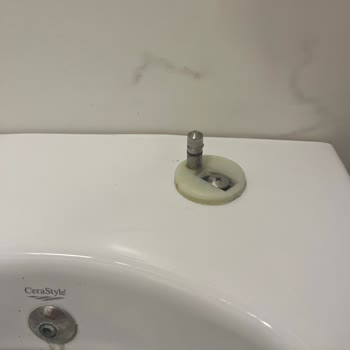 Cerastyle Klozet Kapağı Menteşesi Parçası Edremit’te Bulunamıyor