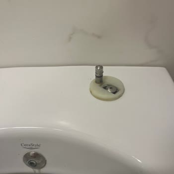 Cerastyle Klozet Kapağı Menteşesi Parçası Edremit’te Bulunamıyor