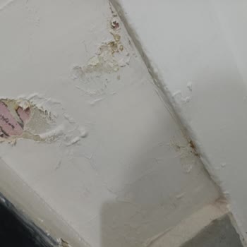 Aksigorta'nın Yetersiz Tazminat Teklifi Ve Nem Alma Cihazı Onayının Reddedilmesi