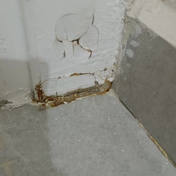 Aksigorta'nın Yetersiz Tazminat Teklifi Ve Nem Alma Cihazı Onayının Reddedilmesi