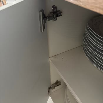 Ses Çıkaran Tekli Koltuk Ve Düşen Konsol Kapağı İçin Destek Sağlanmadı